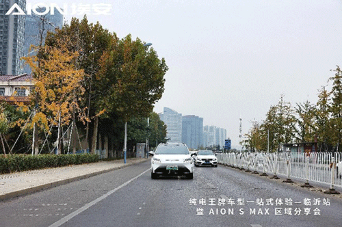 埃安S-max區(qū)域分享會(huì)臨沂站13.gif